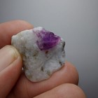 Foto 4 di 7