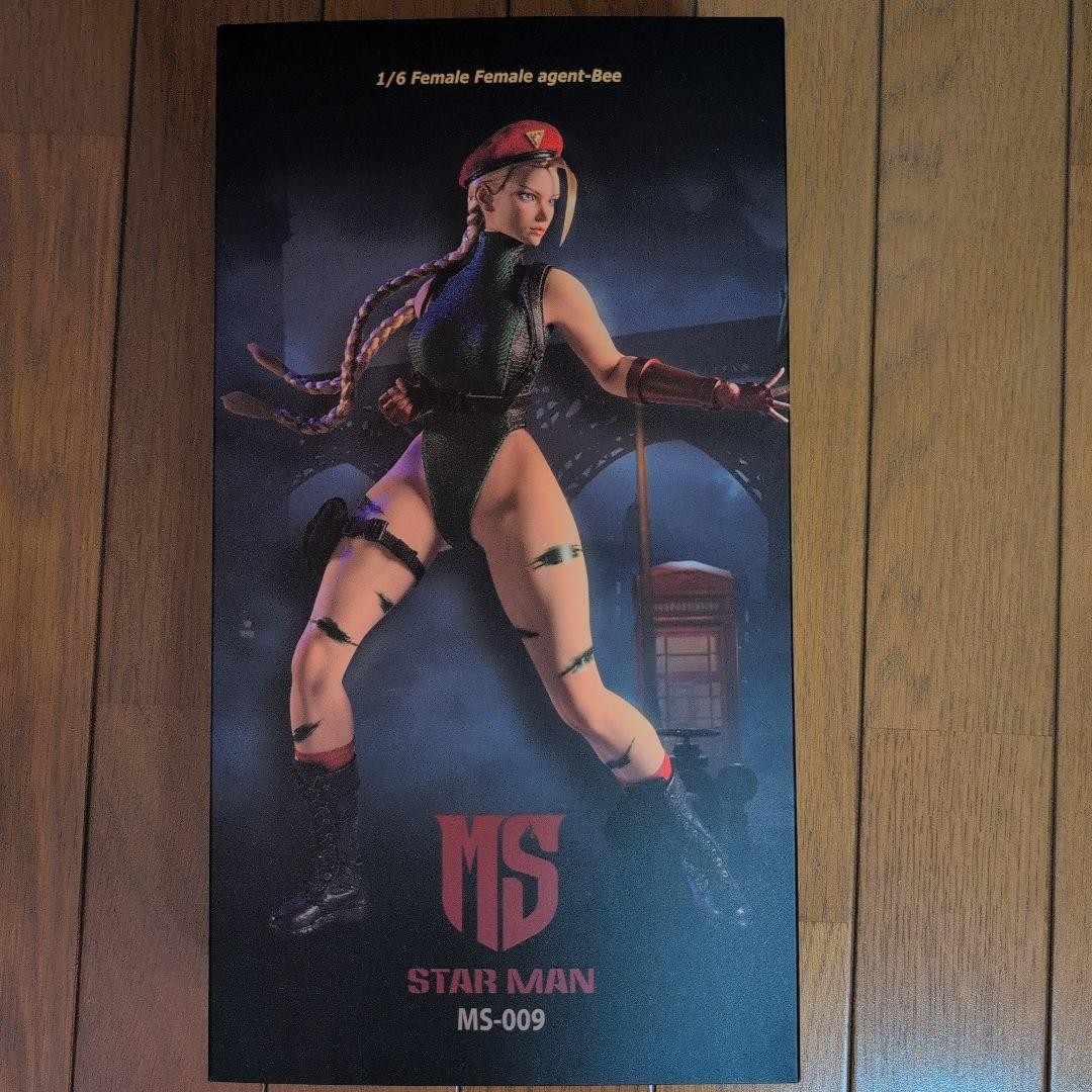 Star Man Female Agent Bee Cammy MS-009 1/6 Figure w/Box Used from