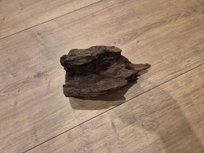 Treibholz Schwemmholz Driftwood Aquarium Terrarium 20cm