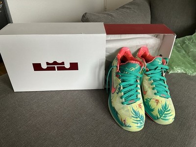 Nike LeBron IX LoW NEU