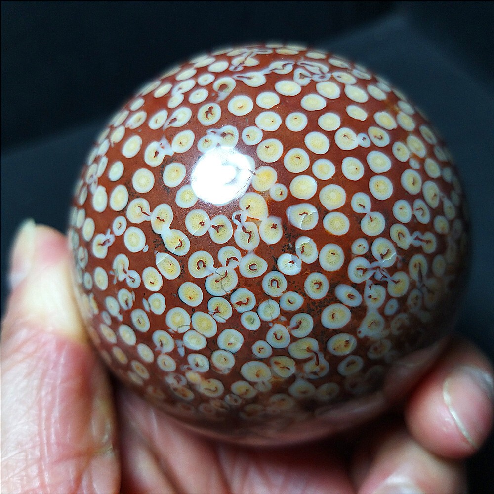 Rare 443.6G Natural Polished Coral Jade Agate Crystal Sphere Ball Healing  CB316
