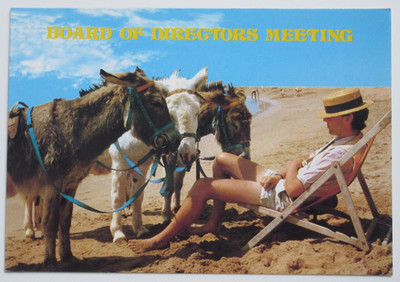  Board of Directors Meeting  Vintage Continental Chrome Comic Postcard Donkeys