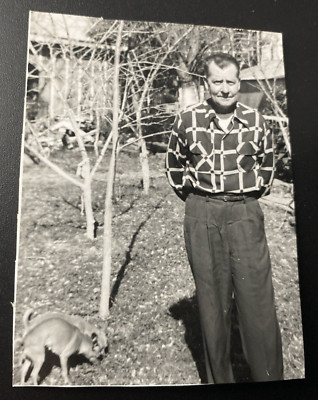 1950s Small Dogs Pups Pets Man Wearing Fashionable Shirt Original Photo P14zb20
