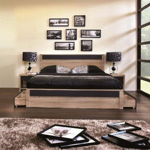Carbon Loft Hester Natural Tone Low Profile Storage Bed ...