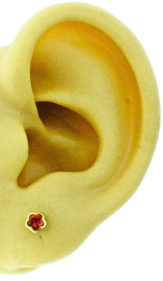 Neu 14K massiv Gelbgold orange Blume Einfassung Set Ohrstecker groß Schraubverschluss
