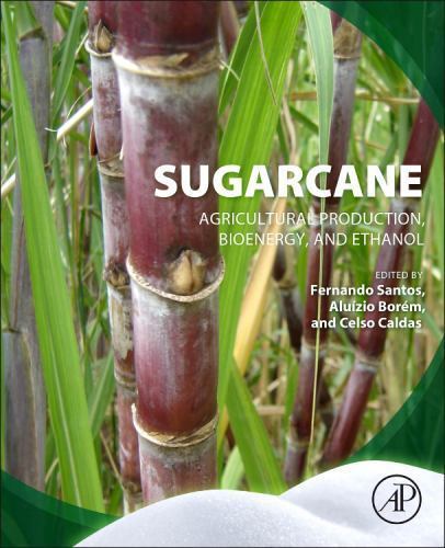 Sugarcane Agricultural Production, Bioenergy and Ethanol Santos Borém Caldas