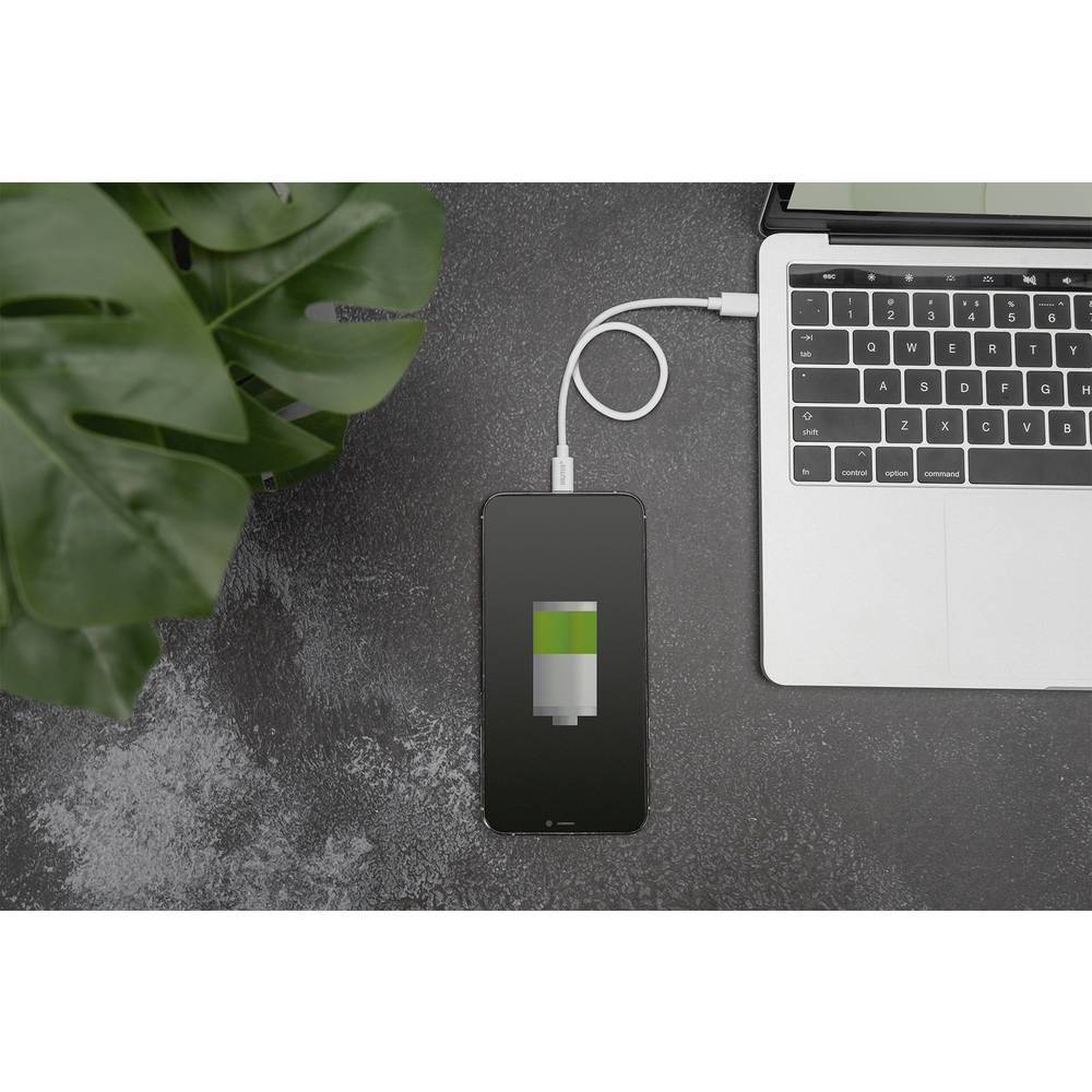 Digitus Cellulare, Apple iPad/iPhone/iPod, Notebook Cavo di ricarica [1x - 1x