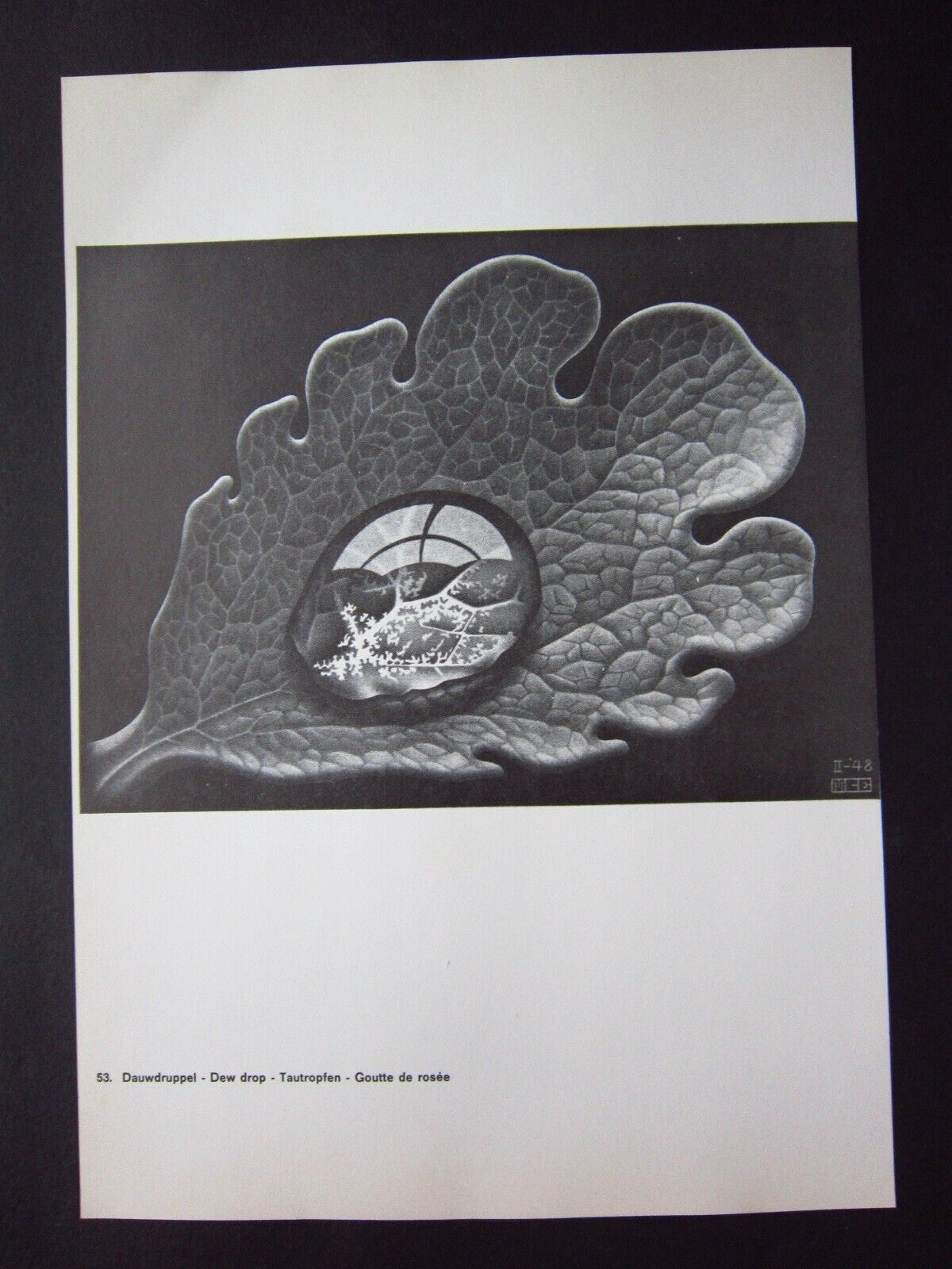 Picture 7 of 8