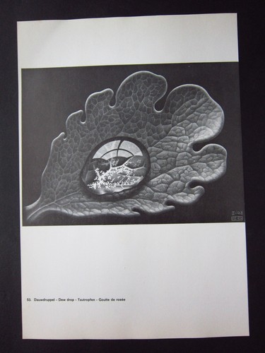 MC Escher Dew Drop Realism & Optical Illusions 11x8" Graphic Art Print - Picture 7 of 8