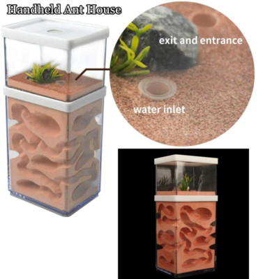 Ant Farm Box Ant Home for Kids Study of Ant Behavior Ant Nest Farm ...