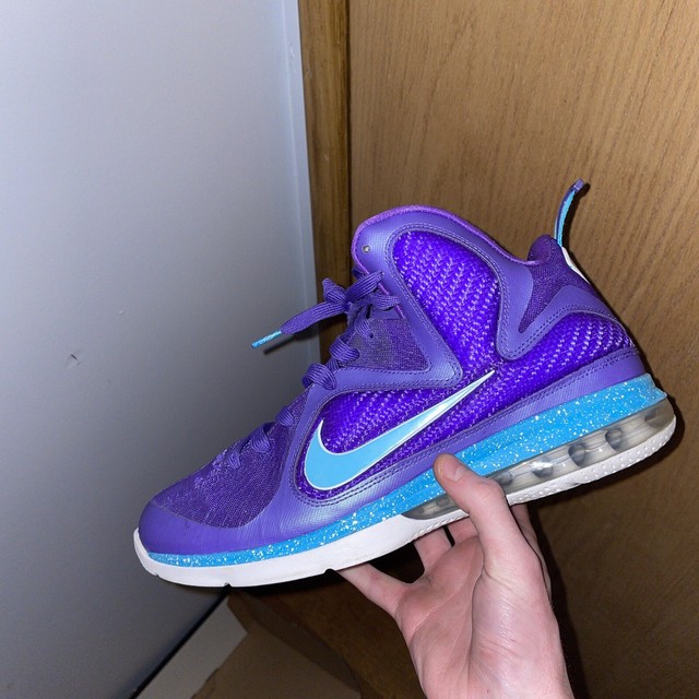 Nike LeBron 9 Summit Lake Hornets 2012 