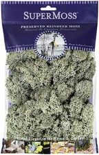 Moss Green Preserved Reindeer Moss 80.75 Cubic Inch 2oz For Floral Decor Craft