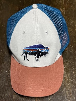 Patagonia Men's/Unisex Fitz Roy Bison LoPro Trucker Hat Mesh Snapback