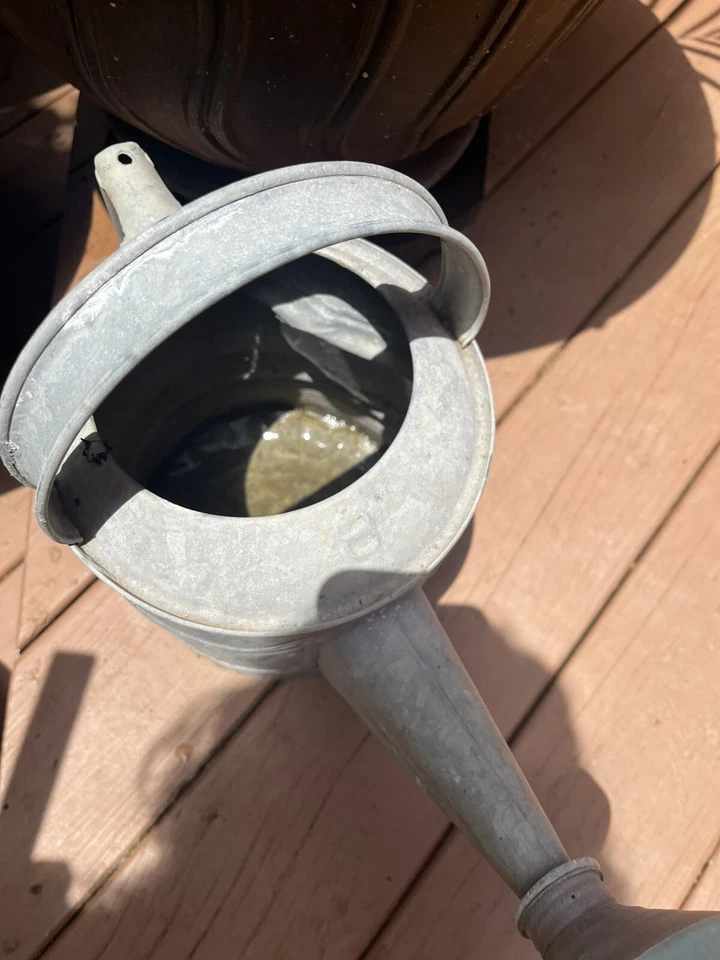 Lot Of Two Vintage Watering Cans Galvanized Metal Double Handle & Sprinkler Head - Image 4 of 4