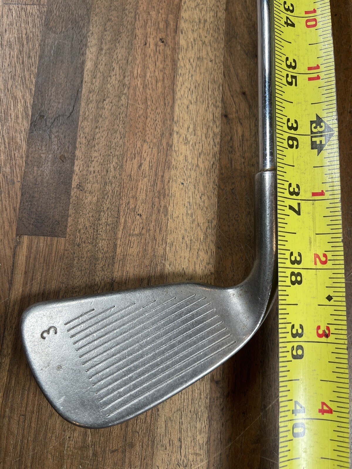 Picture 13 of 13