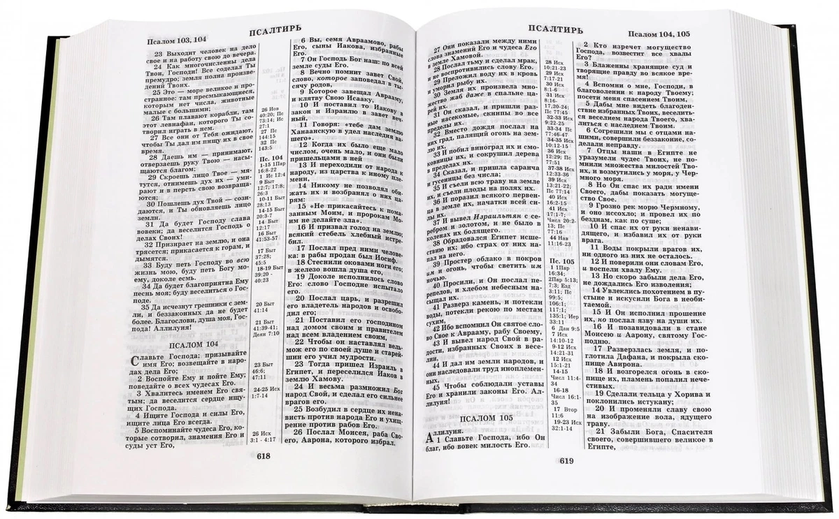 Библия. Без неканонических книг / Bibel, russisch