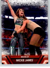 2017 WWE Women's Division Finishers #12 Mickie James