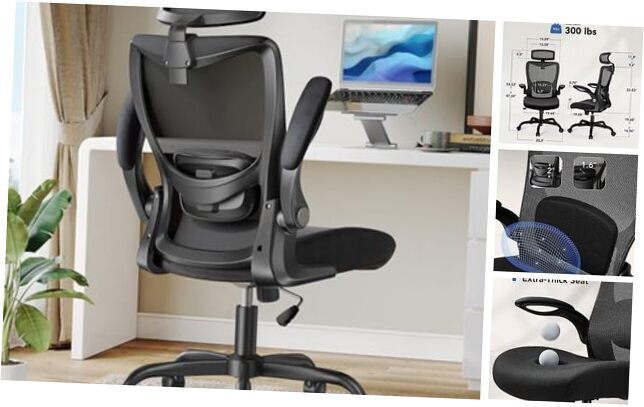 Ergonomic Office Chair, High Back Desk Chair with Adjustable Lumbar Support &-image
