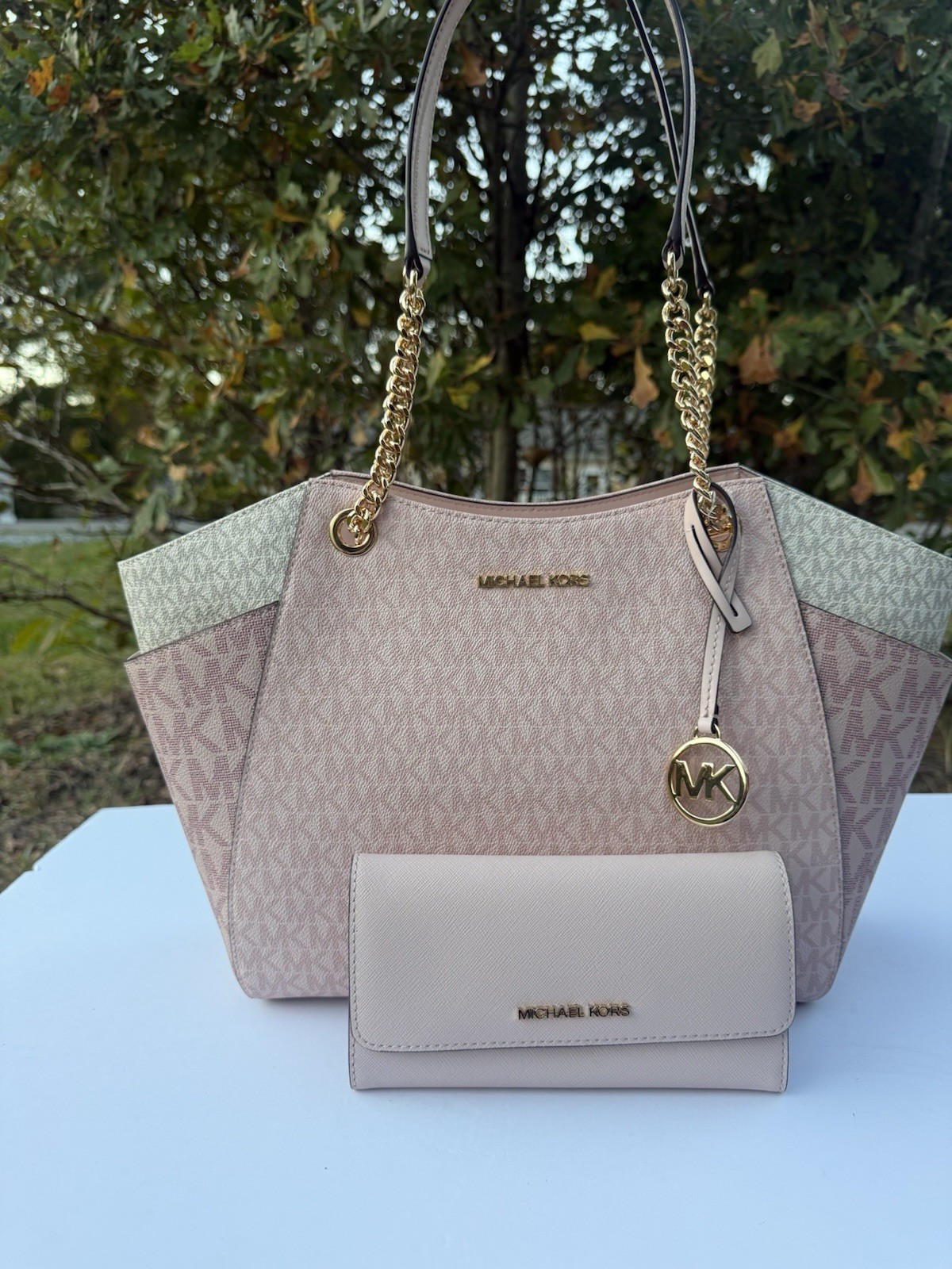 Michael Kors Jet Set Chain Tote Powder Blush Multi With Wall