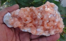 Stilbit Auf Chalcedon Mineralprobe Indien BO=30