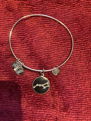 Alex and Ani Big Dipper Bangle Bracelet