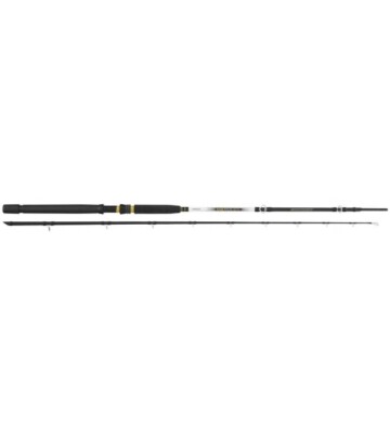 SAILTECH EVO BOLENTINO DEEP LIGHT TUBERTINI ROD MT 2.50 MAX 1000 GR