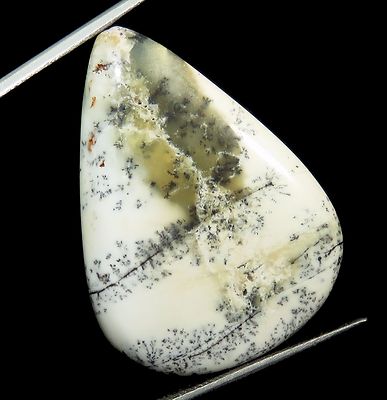 25,10 ct Fantastischer natürlicher Dendrit äthiopischer Opal Edelstein in Bir...