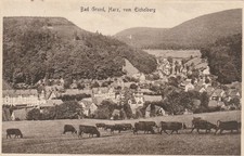Bad Grund (Harz), vom Eichelberg, interessante alte AK
