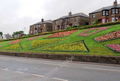 Photo 6x4 Geometric flower beds Craigie/NO4231 These flower beds are on  c2010