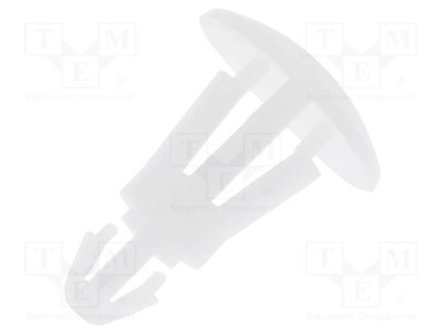 50 Stück FIX&FASTEN FIX-RCC-6.3 Montagestift