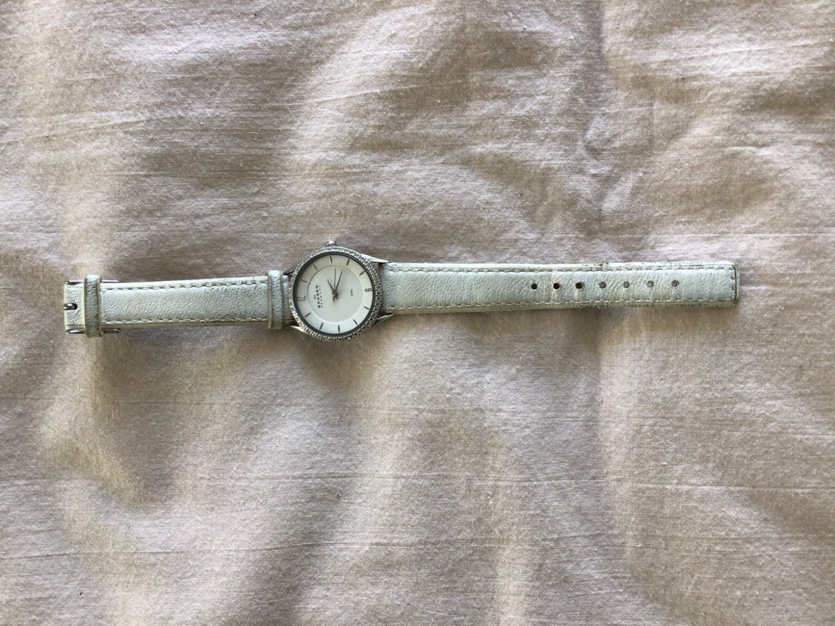 New Gorgeous Women\'s Skagen Watch 556SSLP Abalone White Silver 30mm Skagen Watches | Skagen Watches For Men & Women AU | Watch  main image 2