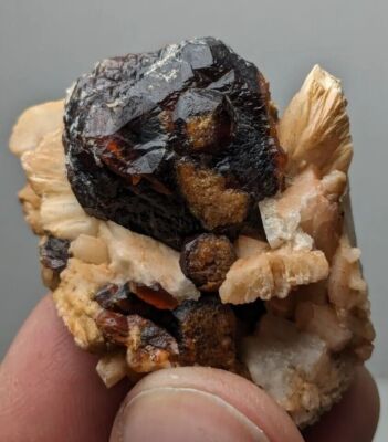 Natural aesthetic dark brown andradite garnet cluster on pale white Albite 