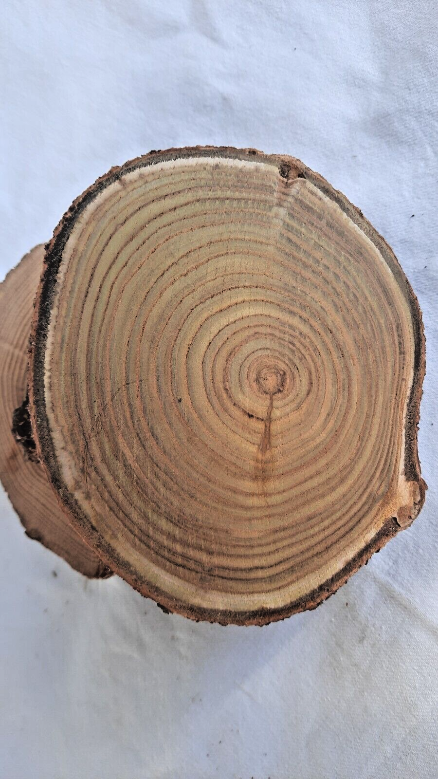Bild 3 von 5