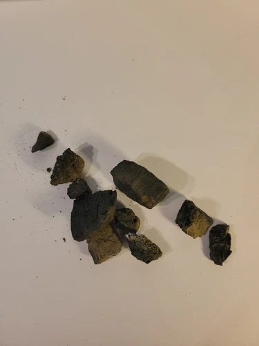 10 Pieces Of Northeastern Anthracite Coal