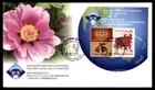 Mayfairstamps New Zealand FDC 2009 commemoration of China First Day Cover aaw_60
