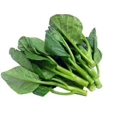 Kailaan Gai Lan Seeds - Cải Rổ Asian Green Heirloom Broccoli Kale - KAI LANS