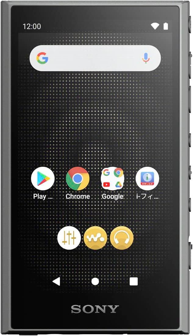 Sony NW-A306 Black Gray Blue 32GB Hi-Res A300 Series Walkman Audio 