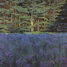 36W"x36H" SHADOWED MEADOW SUNLIT PINES by JON R. FRIEDMAN - FOREST TREES CANVAS