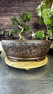 Stunning XL oval etched bonsai pot 