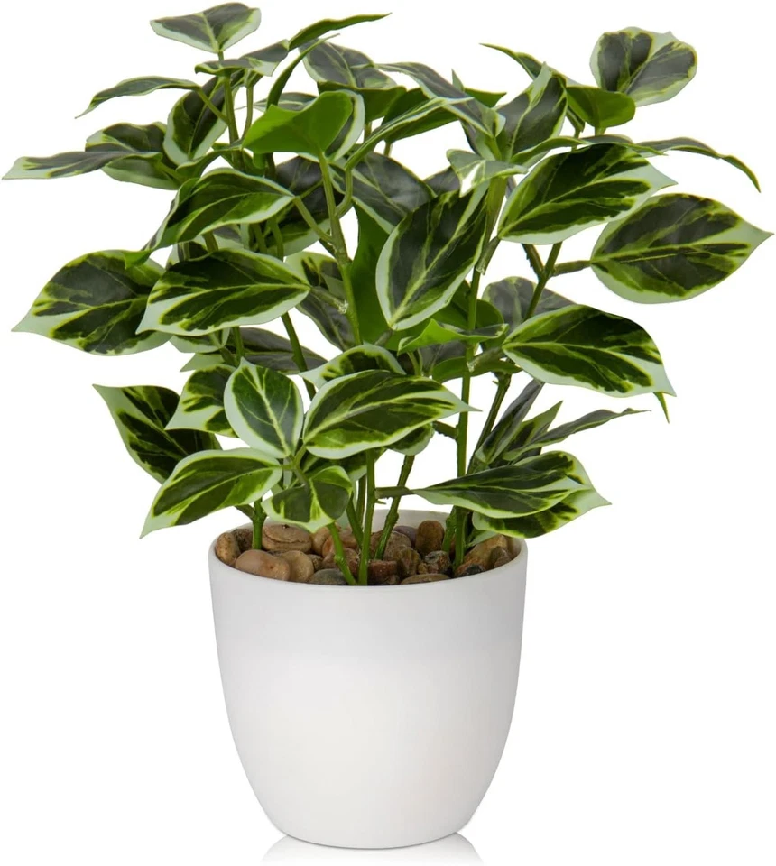 Kunstpflanze Ficus im Topf  Dekoration Wohnzimmer Fensterbank - Bild 3 von 4