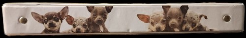 Chihuahua Cachorros Clase Acto Keith Kimberlin Y2K Carpeta De Colección Escuela Merle - Imagen 6 de 15