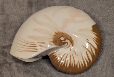 Toothbrush Holder Nautilus Seashell Shaped  Bathroom Better Homes And Gardens