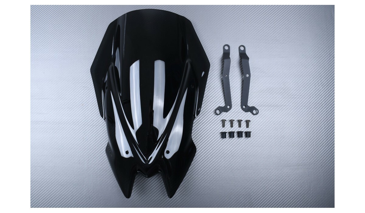 Écran de protection premium noir pour KAWASAKI Z650 et ER-6 N50K
