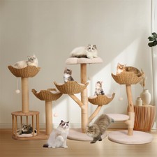 Ultra-soft Kitten Elevated Bed Condo Enjoyable Cat Tree Tower/Activity Center UK