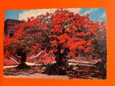 6c Roosevelt postage on PC sent from Charlotte Amalie, USVI 8/1/1963      #PC 9A