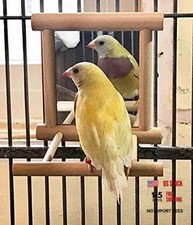 Birds Mirror for Cage,Parrot Hanging Swing with Mirror,Natural Wooden Play
