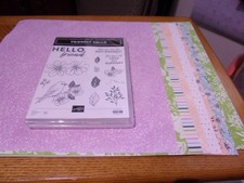 STAMPIN UP FRIENDLY HELLO SET OF 13 PHOTOPOLYMER STAMPS  MATCHING DESIGNER SERI