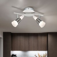 Deckenleuchte Deckenlampe Wohnzimmerleuchte 2 Flammig Grau Spots Schwenkbar Led