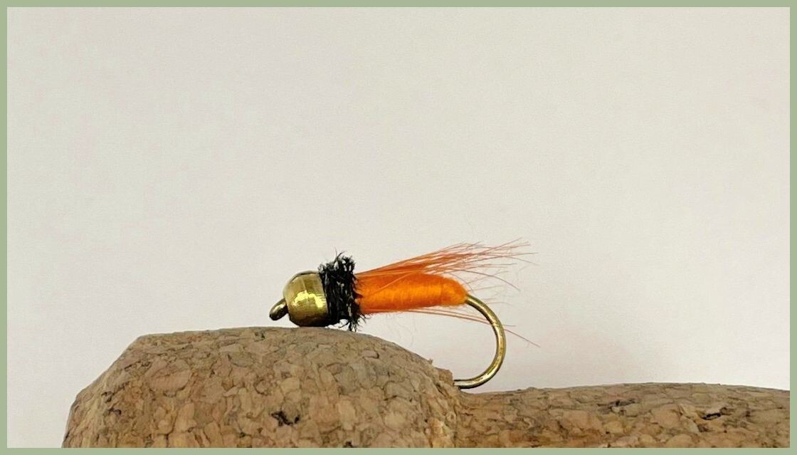 Picture 4 of 4