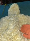 Bild 23 von 24